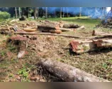 Operação remota contra desmatamento aplica R$ 5,9 milhões em multas